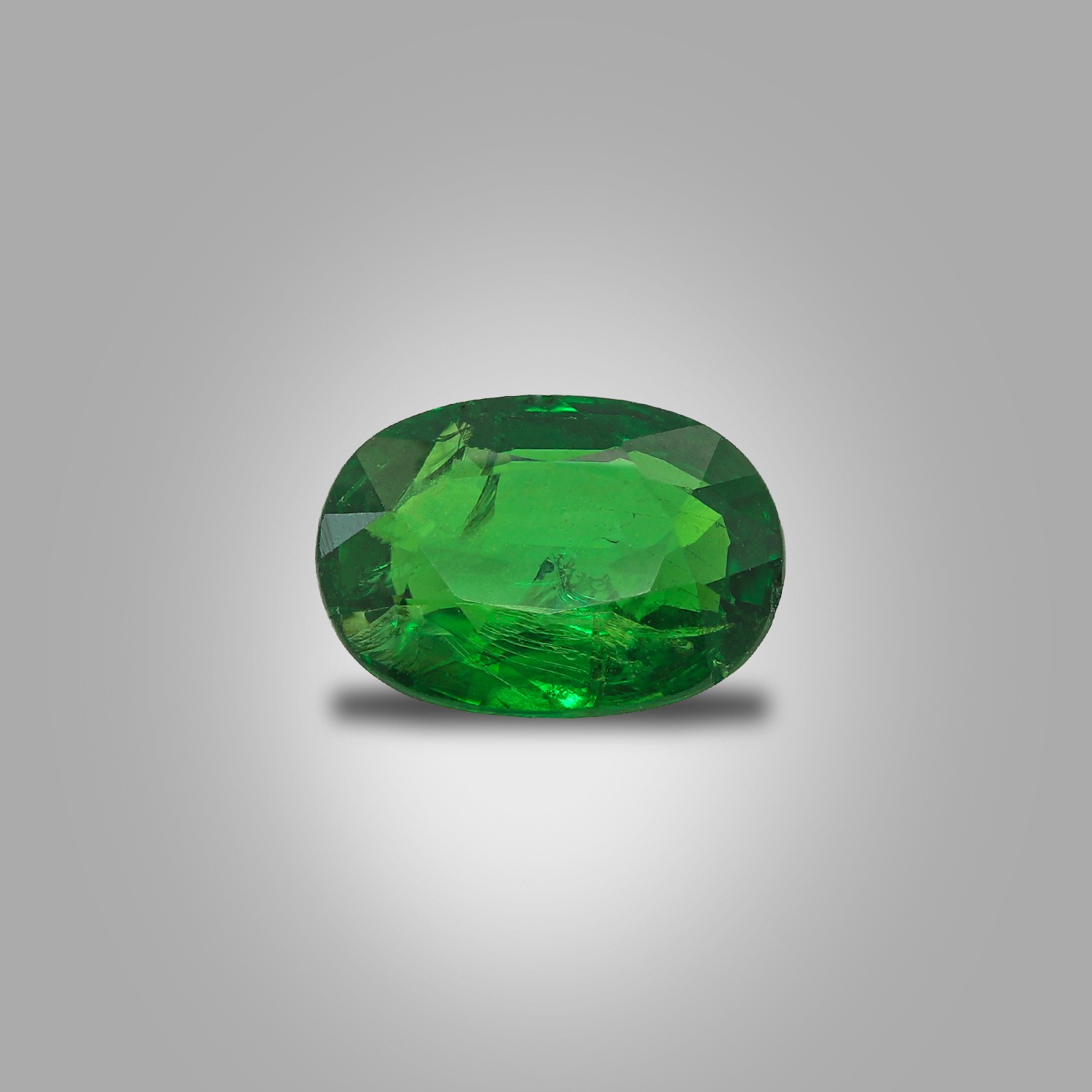 1.20 Carat Tsavorite Garnat